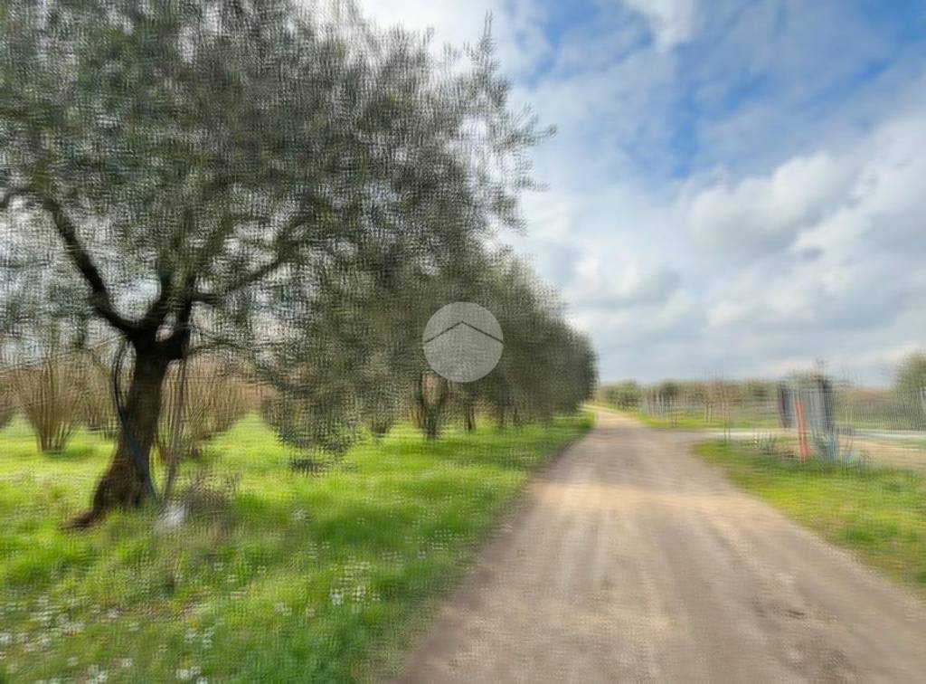 immagine annuncio 6 di 8