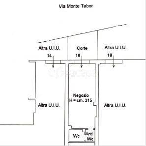 immagine annuncio 1 di 3