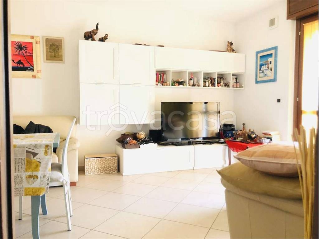 immagine annuncio 4 di 14