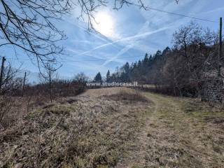 Terreno agricolo in vendita a villa lagarina 