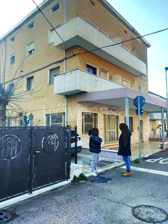 immagine annuncio 1 di 14