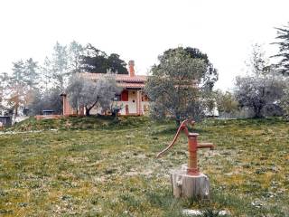 Terreno agricolo in vendita a gavorrano strada provinciale collacchia