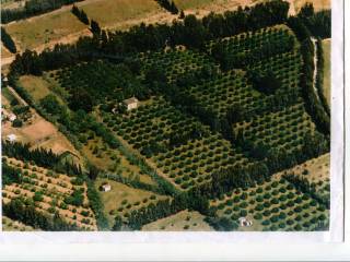 Terreno agricolo in vendita a san vito sp20