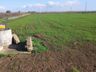 Terreno agricolo in vendita a manduria strada vecchia per manduria