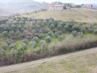 Terreno agricolo in vendita a montepulciano strada provinciale traversa di montepulciano