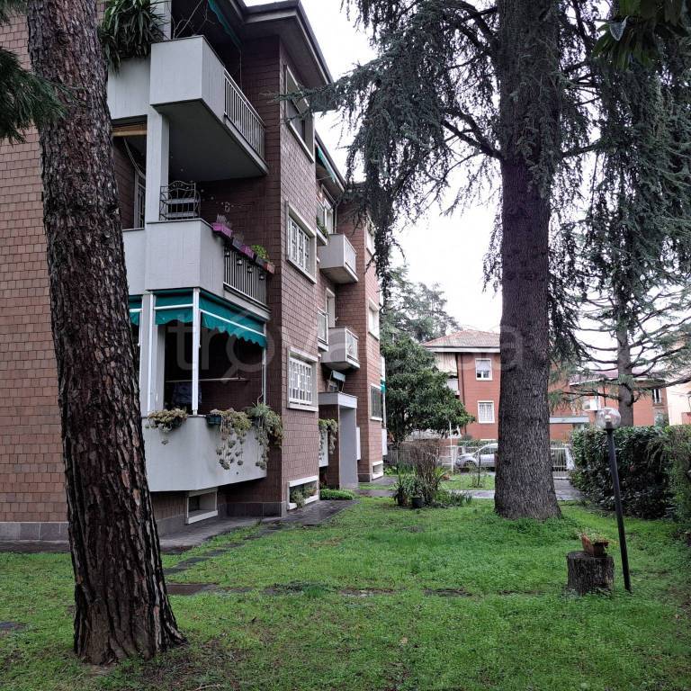 immagine annuncio 4 di 15