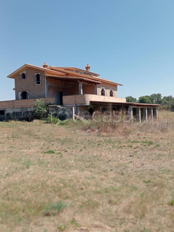 immagine annuncio 3 di 7