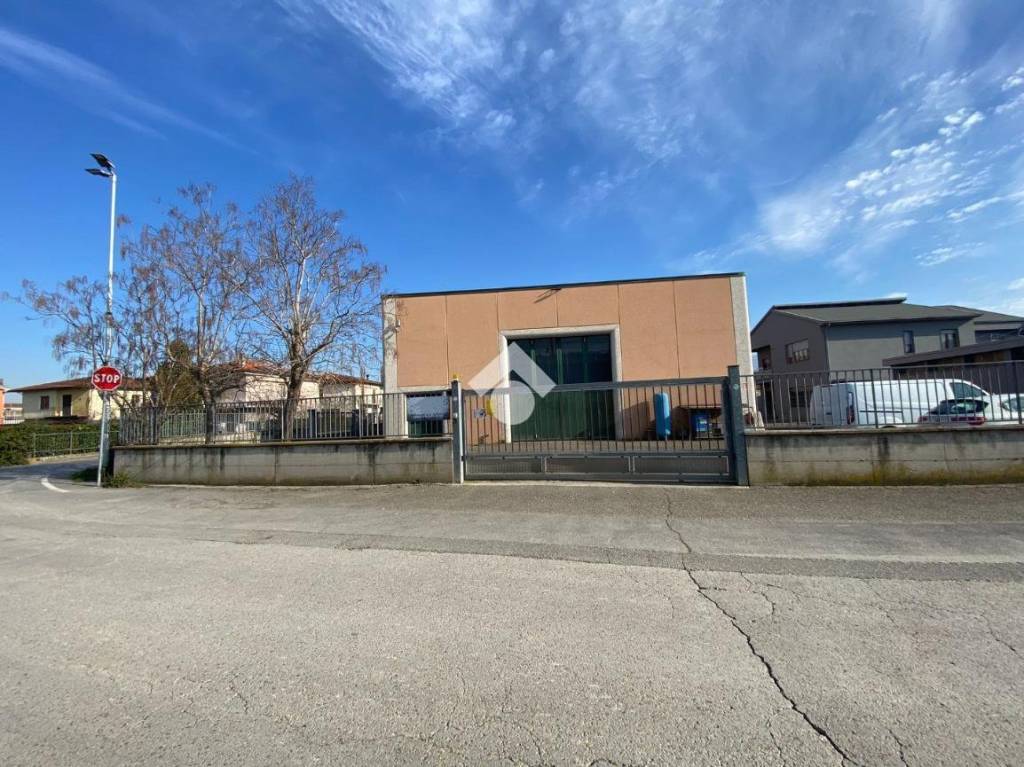 immagine annuncio 11 di 13