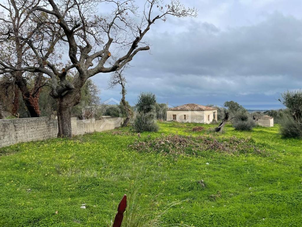 immagine annuncio 7 di 13