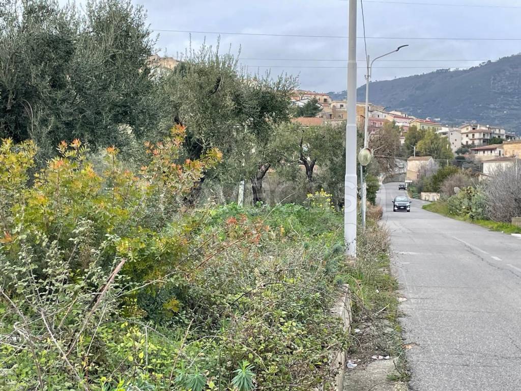 immagine annuncio 9 di 13
