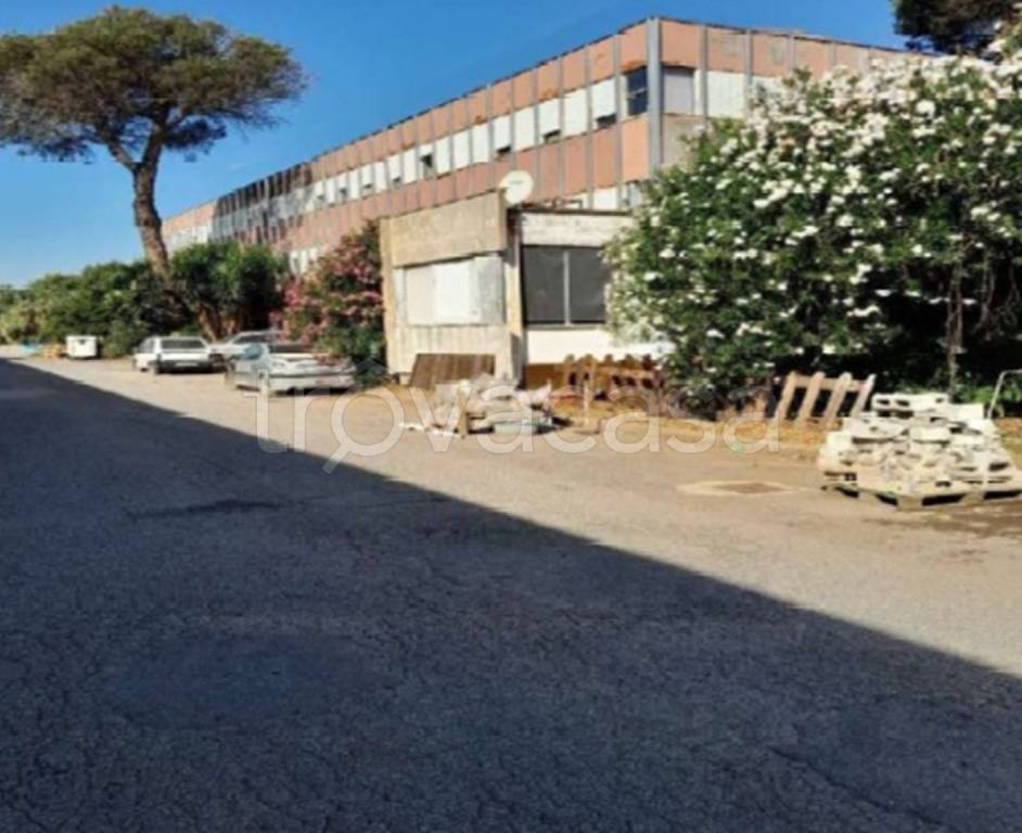 immagine annuncio 2 di 13