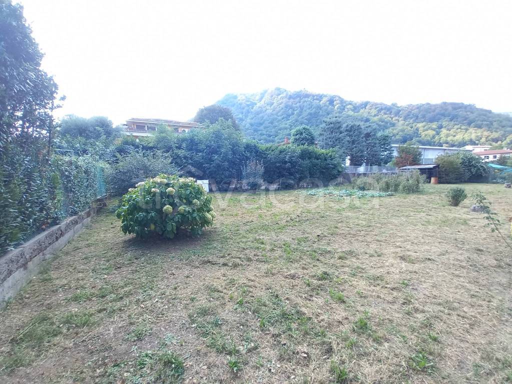 immagine annuncio 2 di 4
