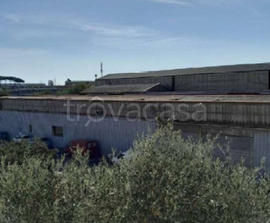 immagine annuncio 8 di 13