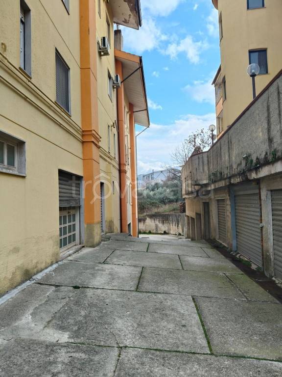 immagine annuncio 1 di 8