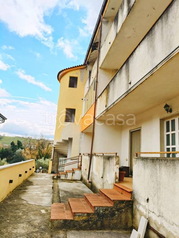 immagine annuncio 2 di 8