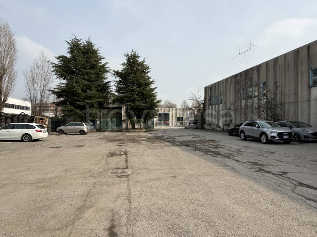 immagine annuncio 11 di 13
