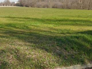 Terreno agricolo in vendita a reggio nell'emilia via ferdinando galiani