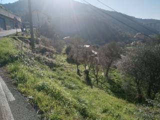 Terreno agricolo in vendita a recco via corticella