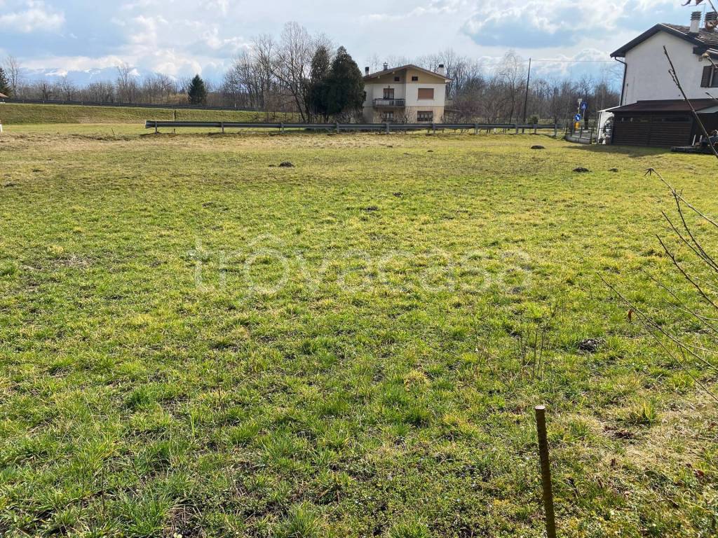 immagine annuncio 2 di 7