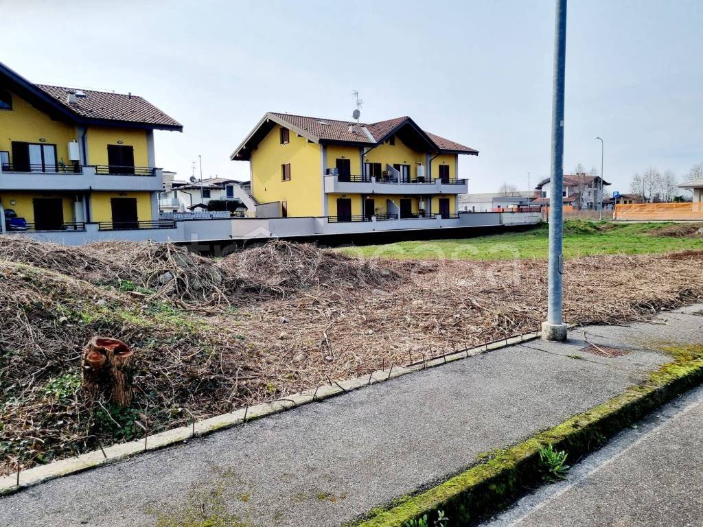 immagine annuncio 3 di 7