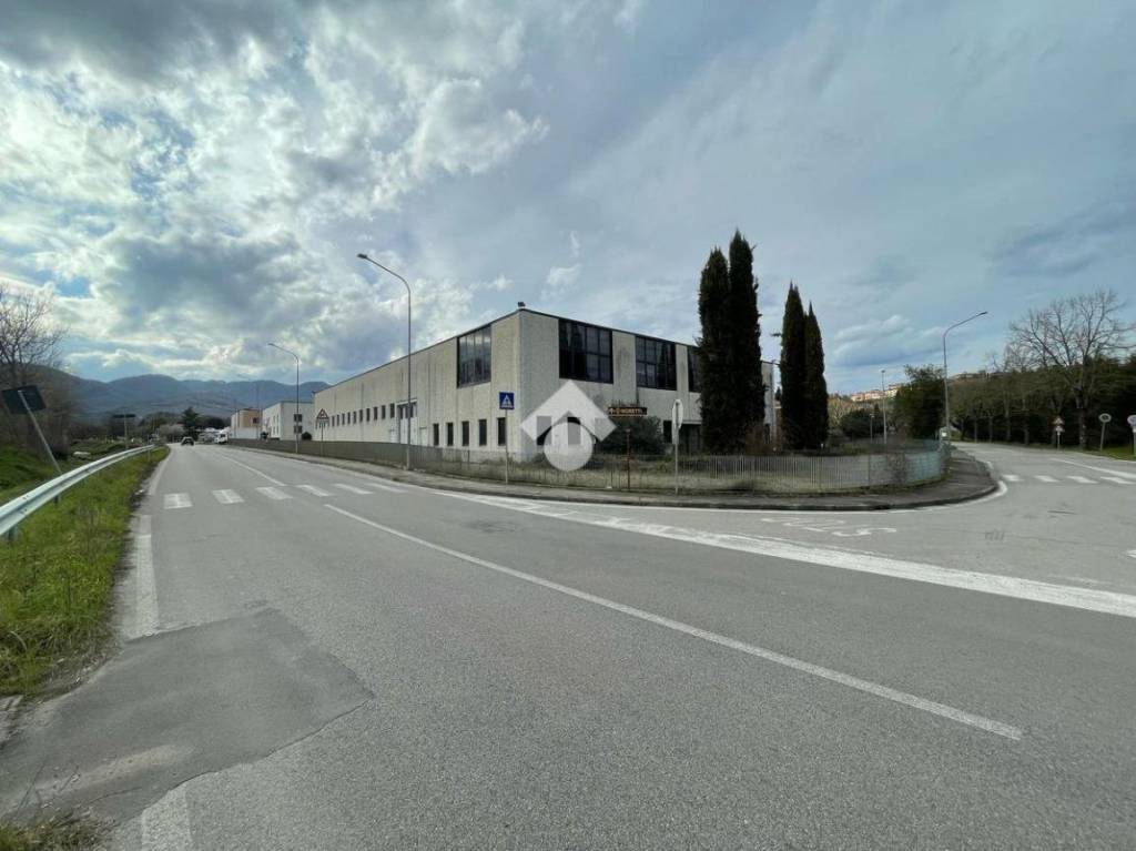 immagine annuncio 6 di 7