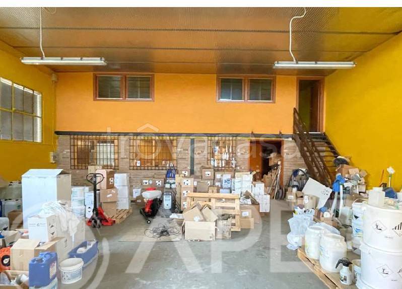 immagine annuncio 8 di 15