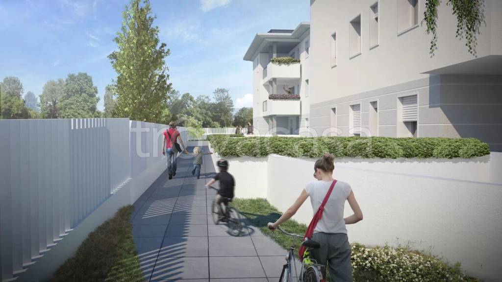 immagine annuncio 5 di 12