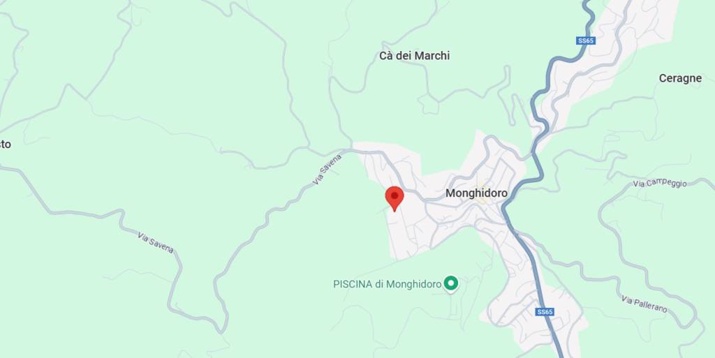 immagine annuncio 3 di 13