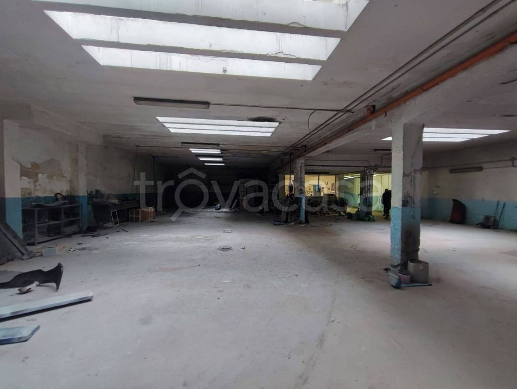 immagine annuncio 9 di 15