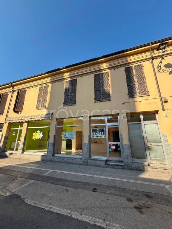 immagine annuncio 1 di 15