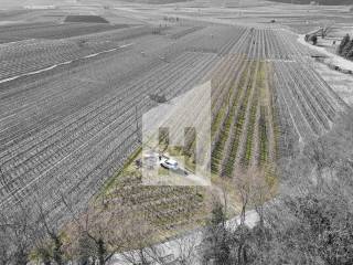 Terreno agricolo in vendita a caldaro sulla strada del vino 