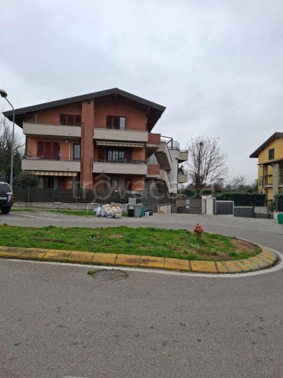 immagine annuncio 2 di 15