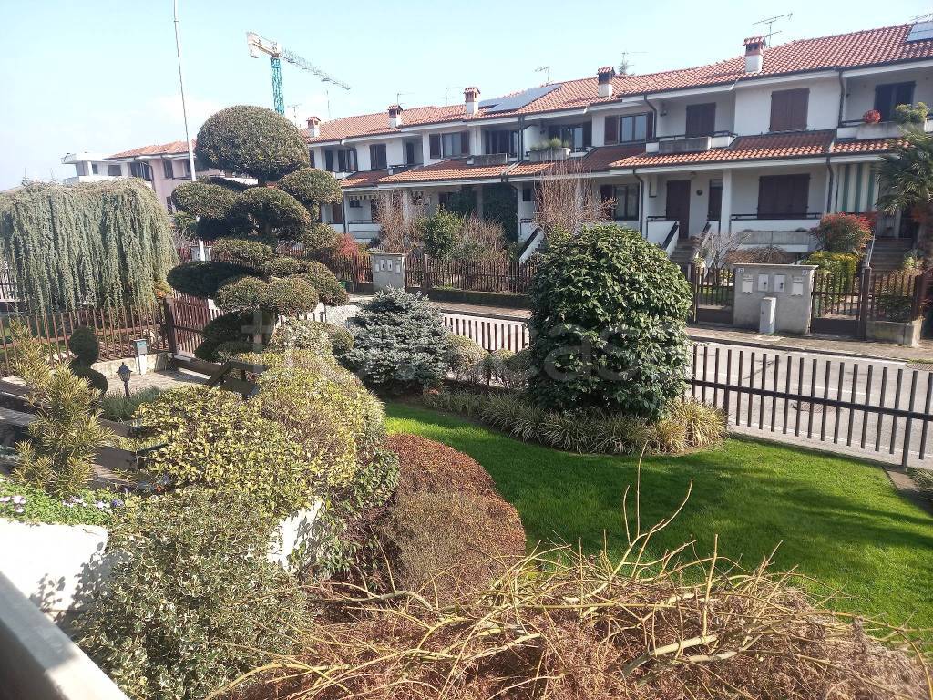 immagine annuncio 7 di 15