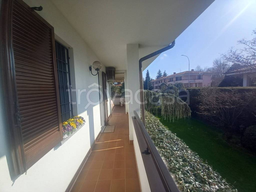 immagine annuncio 10 di 15