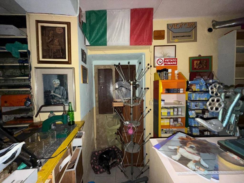 immagine annuncio 7 di 10