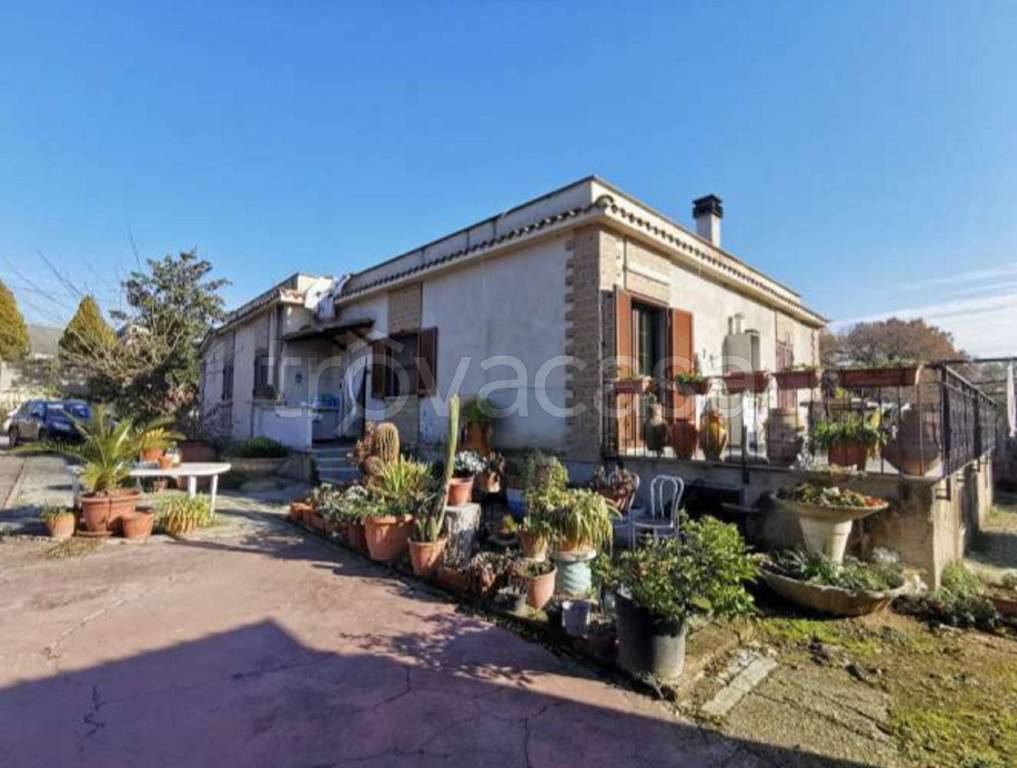 immagine annuncio 5 di 13
