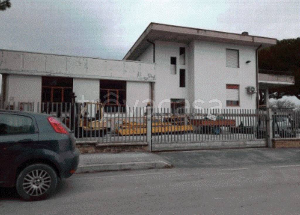 immagine annuncio 10 di 12