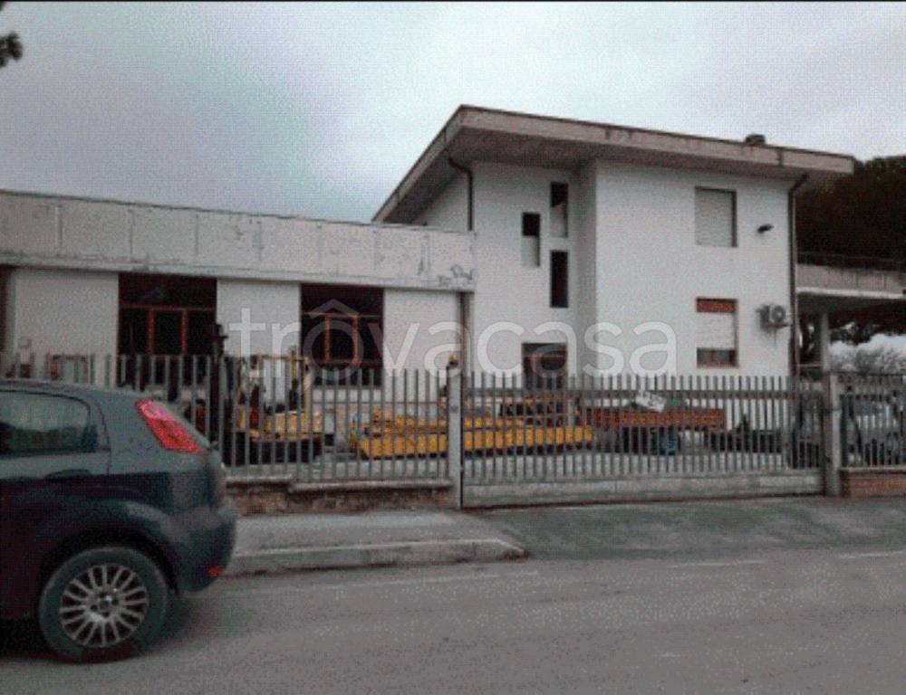 immagine annuncio 11 di 12