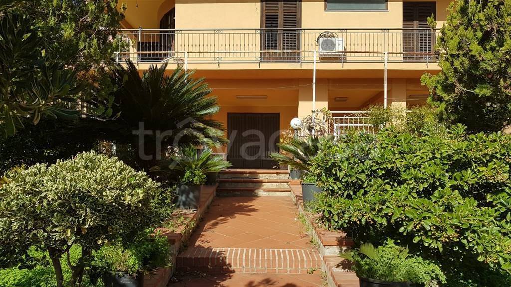 immagine annuncio 8 di 11