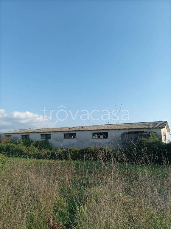 immagine annuncio 8 di 12