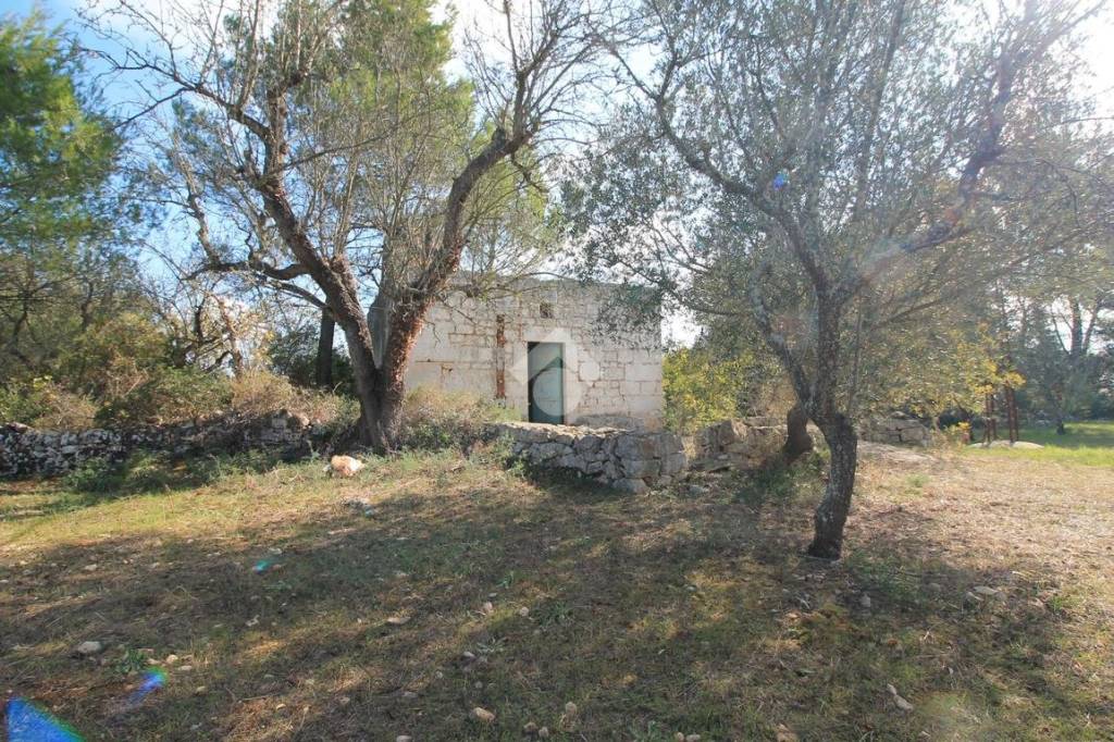 immagine annuncio 6 di 14