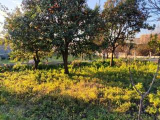 Terreno agricolo in vendita a ottaviano via vecchia sarno, 1