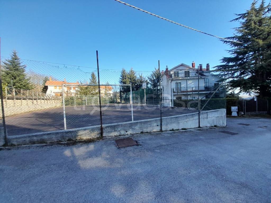 immagine annuncio 12 di 13
