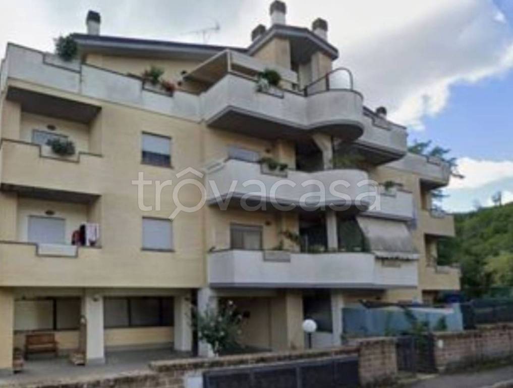 immagine annuncio 2 di 12