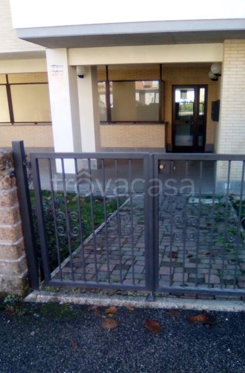 immagine annuncio 10 di 12