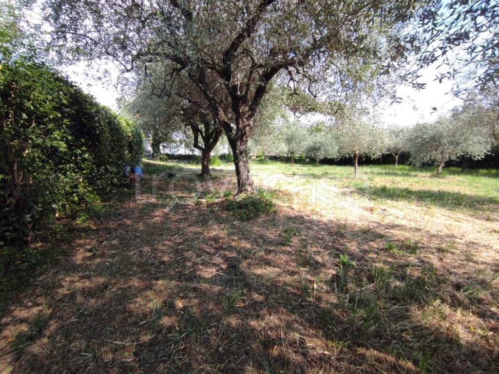 immagine annuncio 4 di 7