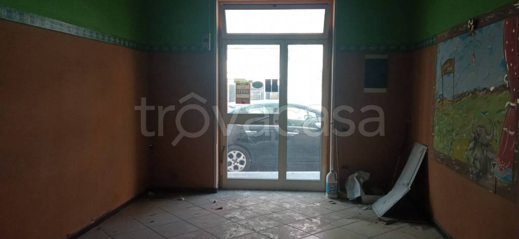 immagine annuncio 12 di 14