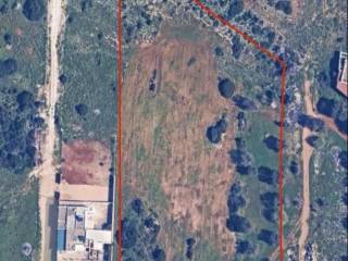 Terreno agricolo in vendita a porto cesareo via squinzano