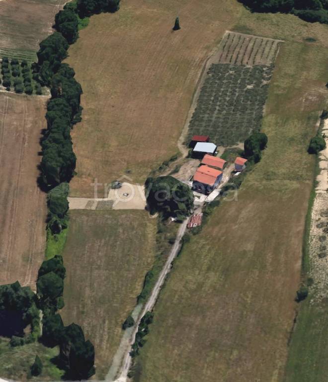 immagine annuncio 1 di 2