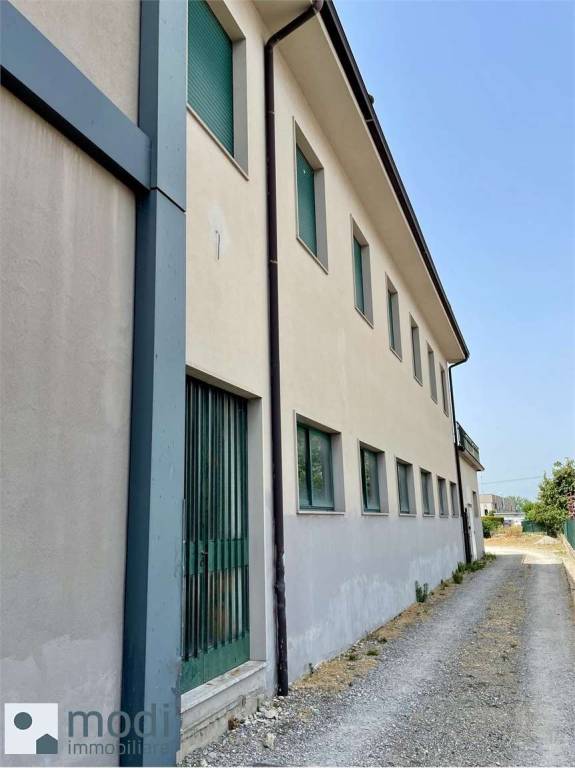 immagine annuncio 3 di 9